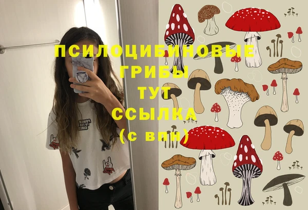 тгк Арсеньев