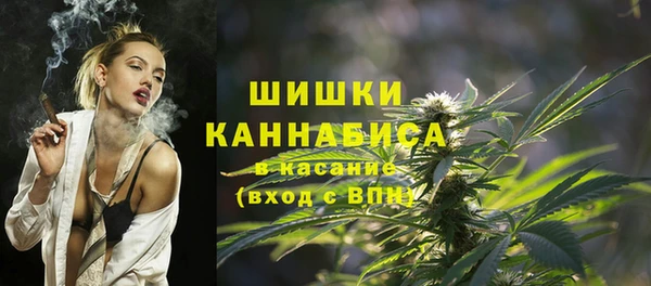 тгк Арсеньев